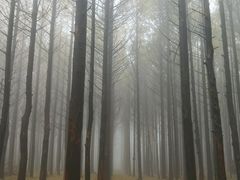 -山王坪喀斯特国家生态公园