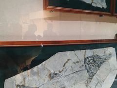 -安徽省地质博物馆
