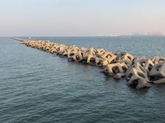 -东疆建设开发纪念公园