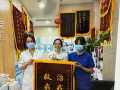 -谐和益家动物医院·免疫绝育·血液透析·宠保定点医院(高新伊藤分院)