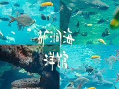 -长鹿旅游休博园