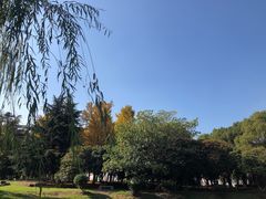 -中央公园(苏州工业园区)