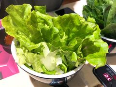 生菜-湯島涮小火锅(余姚五彩城店)