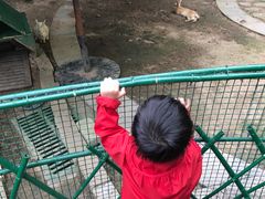 -惠州金海湾嘉华度假酒店