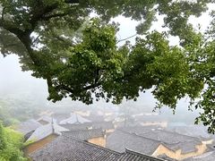 -杨家堂村