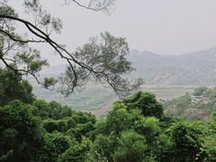 -青芝山风景名胜区