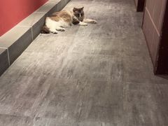 -白兔子密室(长寿路店)