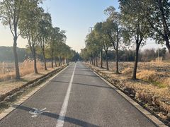-广富林郊野公园
