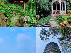 -深圳国际园林花卉博览园