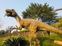 -自贡恐龙博物馆