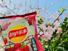 -山姆会员商店(邻瑞广场店)