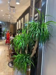 -意廊 Hair Salon
