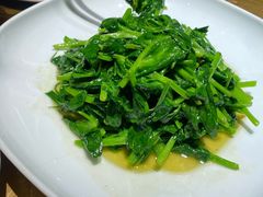 清炒豌豆尖-京味斋·烤鸭·北京菜(安贞店)