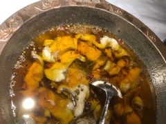 -雲蜀龙阁·金牌水煮鱼(方庄店)