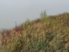 -青龙湖公园