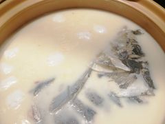 -松沪名灶·豆浆鱼头·新上海菜(飞航吾悦广场店)