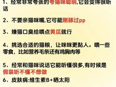 -御宝贝·A梦猫科宠物医院(国际猫友好医院)