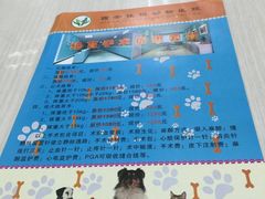 -佳怡动物医院·平价24小时·猫专科骨外科