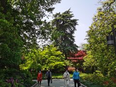 -西湖外事游船(花港观鱼码头)