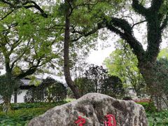 -江心屿景区