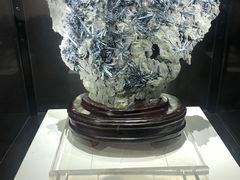 -中国地质大学逸夫博物馆