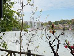 -南汇桃花村