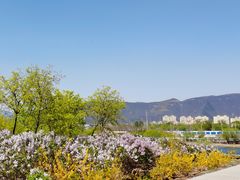 -永定河休闲森林公园