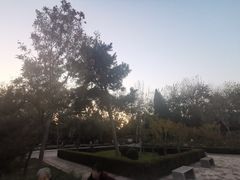 -黄村公园