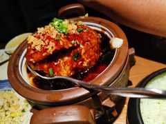 招牌狮子头-扬州狮子楼·非遗淮扬菜(东关街店)