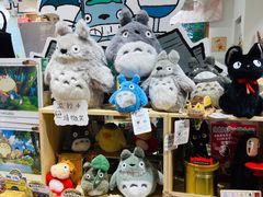 -猫的天空之城概念书店(束河店)