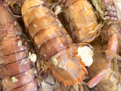 -北塘海鲜·天津菜(大光明桥旗舰店)