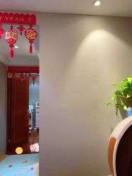 -哈颜科技轻美·