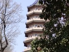 -灵谷景区