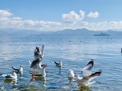 -丽江泸沽湖景区