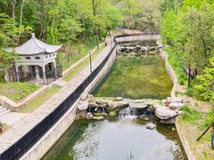 -白水寺森林公园