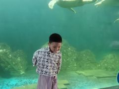 -广东惠东海龟国家级自然保护区
