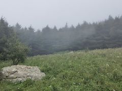 -白草畔自然风景区