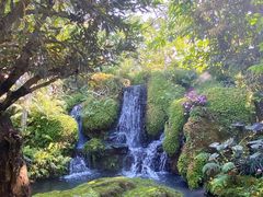 -Chom Cafe and Restaurant