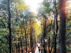 -南国桃园旅游度假区