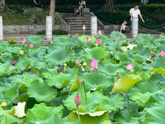 -南宁南湖公园