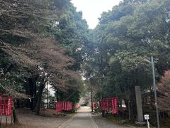 -醍醐寺