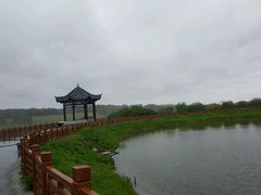 -塞罕坝国家级自然保护区