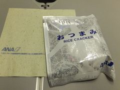 -全日本空输株式会社(上海办事处)