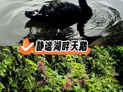-珠海圆明新园
