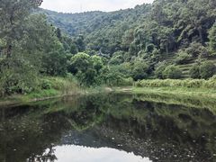 -九龙潭景区