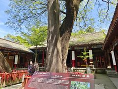 -少华山国家森林公园