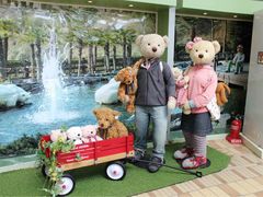 -济州岛泰迪熊博物馆