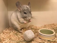 -龙猫仔乐园(惠福东路店)