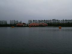 -上海长兴岛郊野公园