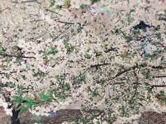 -同济大学(嘉定校区)